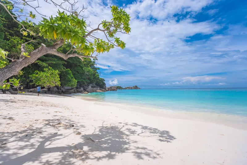 Lazy Similans: Comfort Without Rush /B/